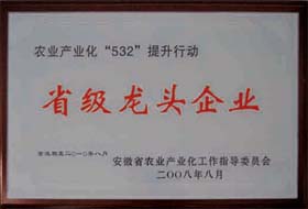 荣誉展示