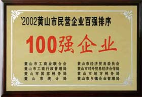 100强企业